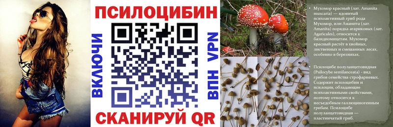 blacksprut маркетплейс  Тверь  Псилоцибиновые грибы MAGIC MUSHROOMS 