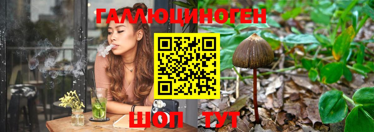 Тверь  Псилоцибиновые грибы MAGIC MUSHROOMS  Псилоцибиновые грибы мицелий  купить наркотик  Вход с VPN 